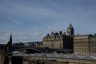 DSC_7361 (Large).JPG